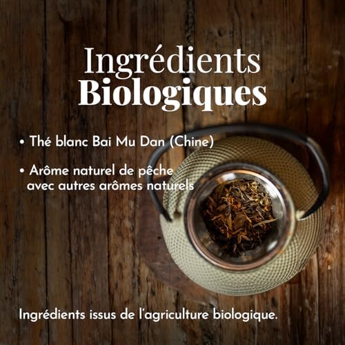 Vue 2 de Terre Doc The Blanc