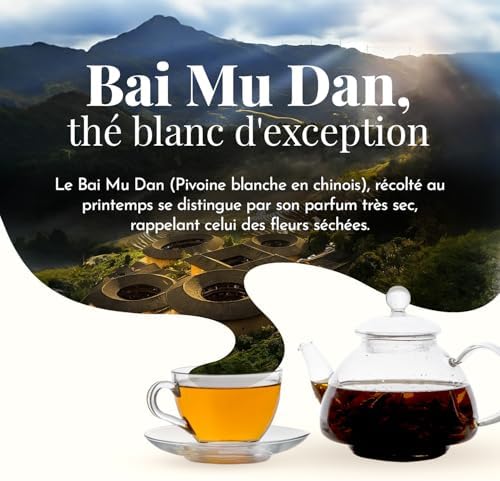 Vue 4 de Terre Doc The Blanc