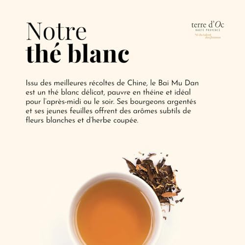 Vue 6 de Terre Doc The Blanc