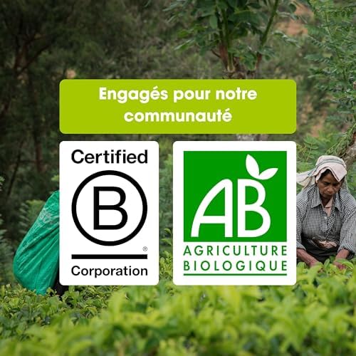 Vue 6 de English Tea Shop The