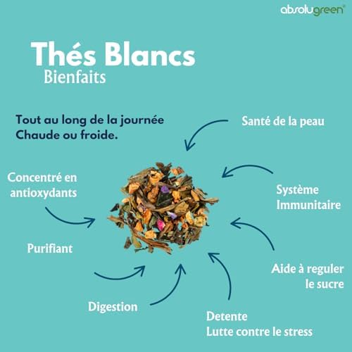 Vue 3 de The Blanc Noel En