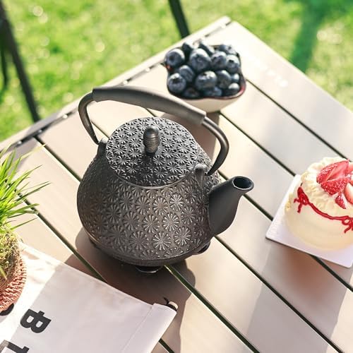 Vue 2 de Theiere En Fonte Ml