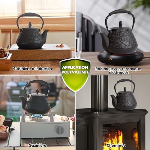 Vue 6 de Theiere En Fonte Ml