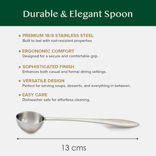 Vue 4 de Vahdam Cuillere The