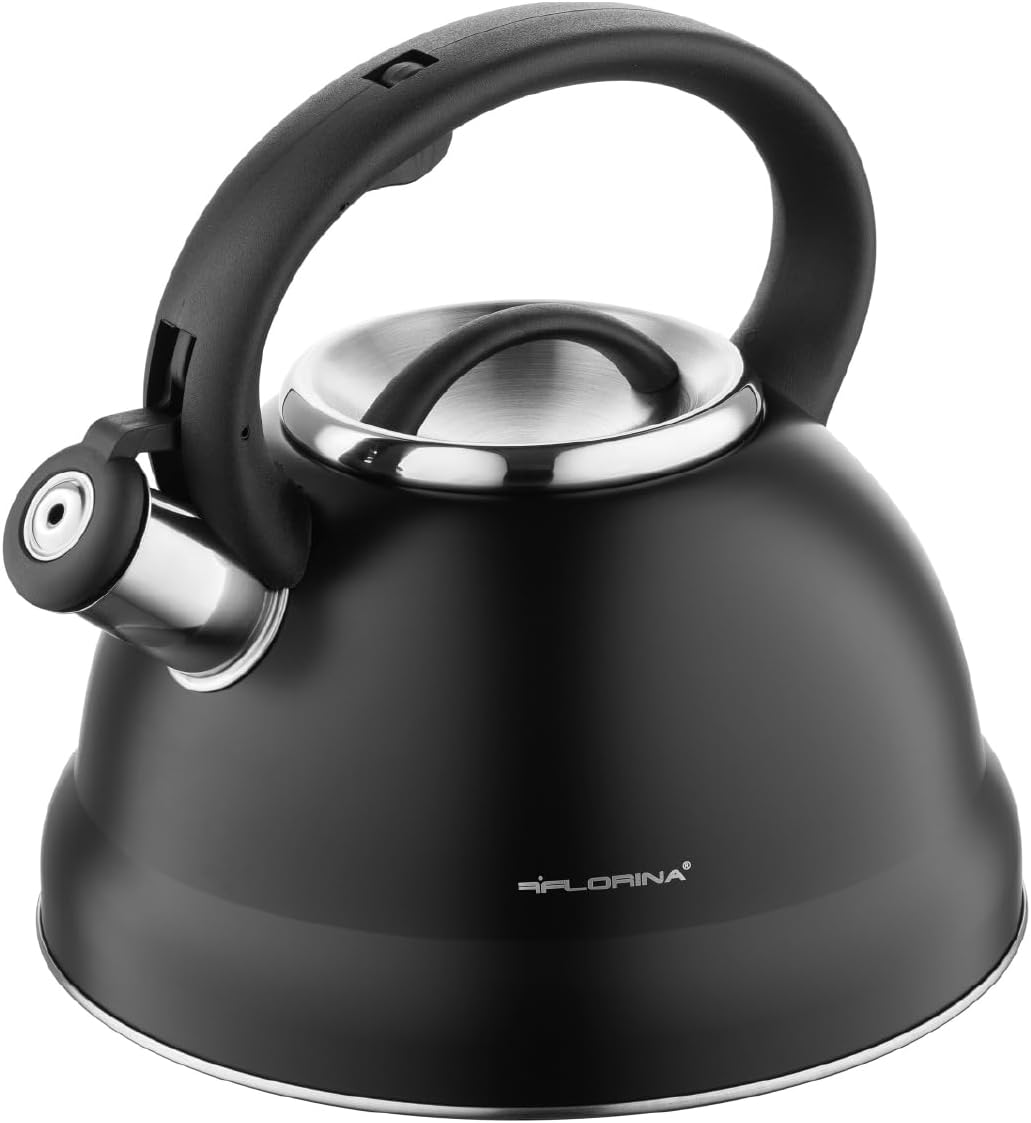 Florina Bouilloire Inox