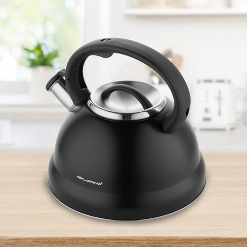 Vue 2 de Florina Bouilloire Inox