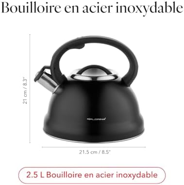 Vue 3 de Florina Bouilloire Inox