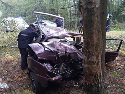 Трое погибли в аварии в Самотовино