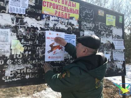 Рейды по предотвращению пала травы провела лесная охрана Луховицкого филиала Мособллеса