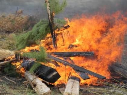 Внимание! На территории Московской области с 1 мая 2019 года установлен особый противопожарный режим