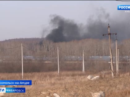 Режим ЧС ввели в Комсомольске-на-Амуре из-за вспышки птичьего гриппа