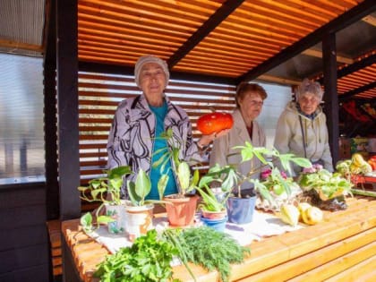 Социальные торговые места в Подольске для местных производителей