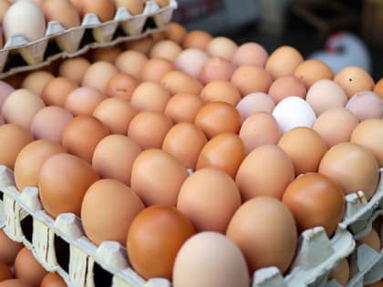 На ярмарках Белгородчины ограничили продажу куриных яиц в одни руки