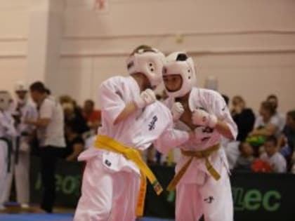 Более 200 подмосковных спортсменов примут участие в Открытых Всероссийских юношеских играх боевых искусств.