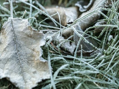 Погода в Москве: Ожидания на ближайшие дни