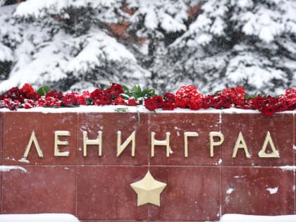 Москва заботится о петербургских блокадниках больше Смольного?