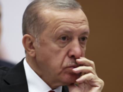Эрдоган: Турция будет перерабатывать зерно из РФ для стран Африки