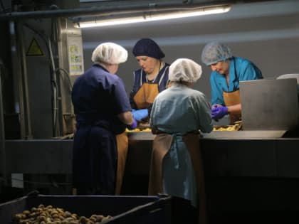 Озёрское сельскохозяйственное предприятие взяло курс на импортозамещение