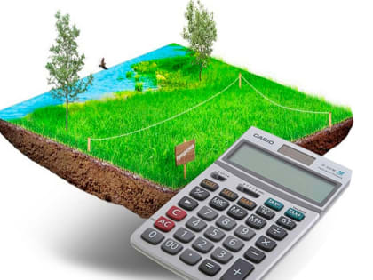 Вопросы муниципального земельного контроля обсудили на совещании в Правительстве Московской области