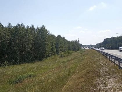 Развитие земельного участка в Подмосковье