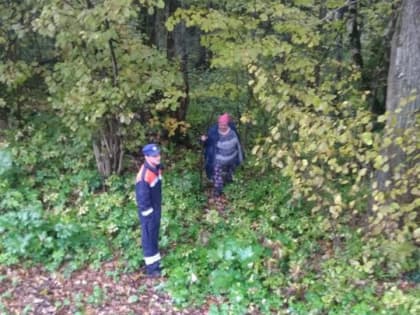 И снова потерявшиеся грибники