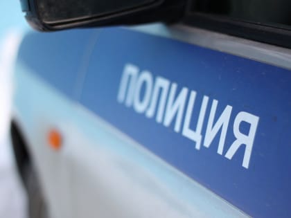 В Подольске неизвестные ограбили дом, связав членов семьи
