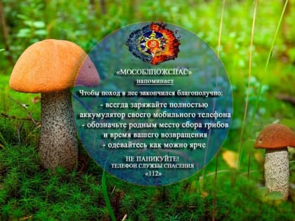 Спасатели ГКУ МО «Мособлпожспас» рекомендуют лыткаринцам, прежде чем отправиться в лес за грибами и ягодами, позаботиться о своей безопасности