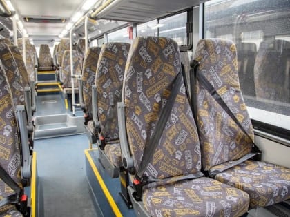 Проблемы Звенигорода: жители выражают недовольство