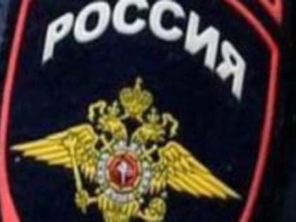 В Химках полицейскими раскрыта кража акустической системы