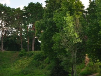 Дополнительная защита для Звенигородского городища