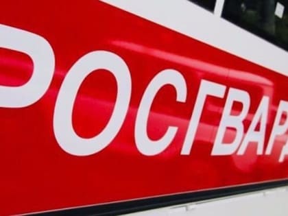 В Подмосковье сотрудники Росгвардии оказали помощь мужчине, упавшему на железнодорожные рельсы