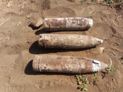 Три снаряда времен войны нашли пахари в Волоколамском районе