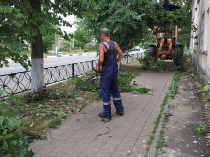 Опиловка деревьев в городском округе Ликино-Дулево