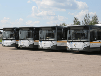 Новые инициативы в сфере транспорта Подмосковья