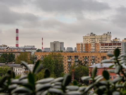 Гроза, дождь и до 25 градусов тепла ожидается в Московском регионе 17 июля