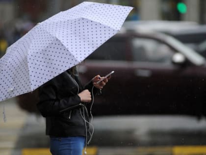 Небольшие дожди и до 27 градусов тепла ожидается в Московском регионе в среду