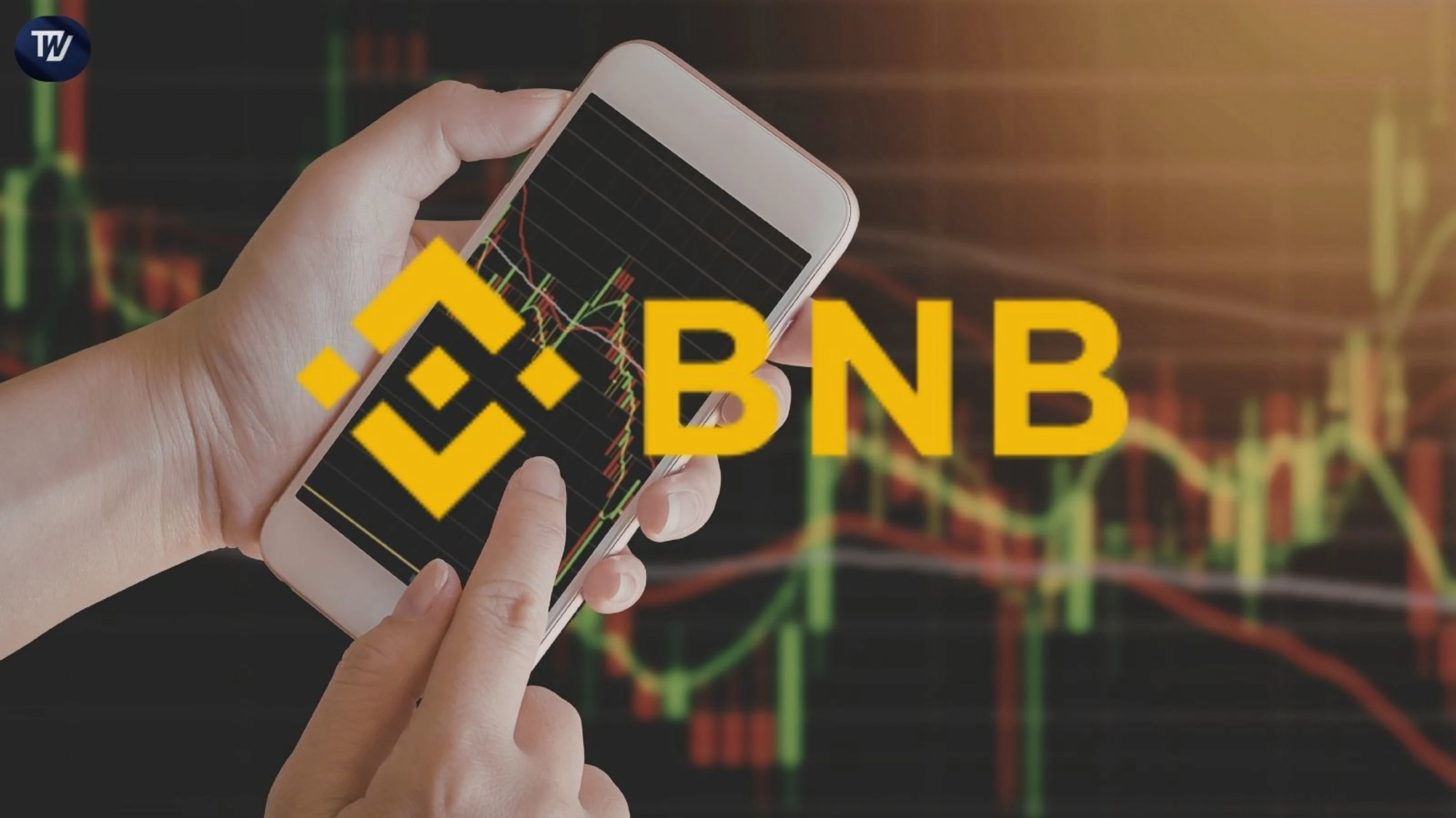 Binance Coin (BNB) Tests Key Support As Price Eyes $980 Resistance Break
