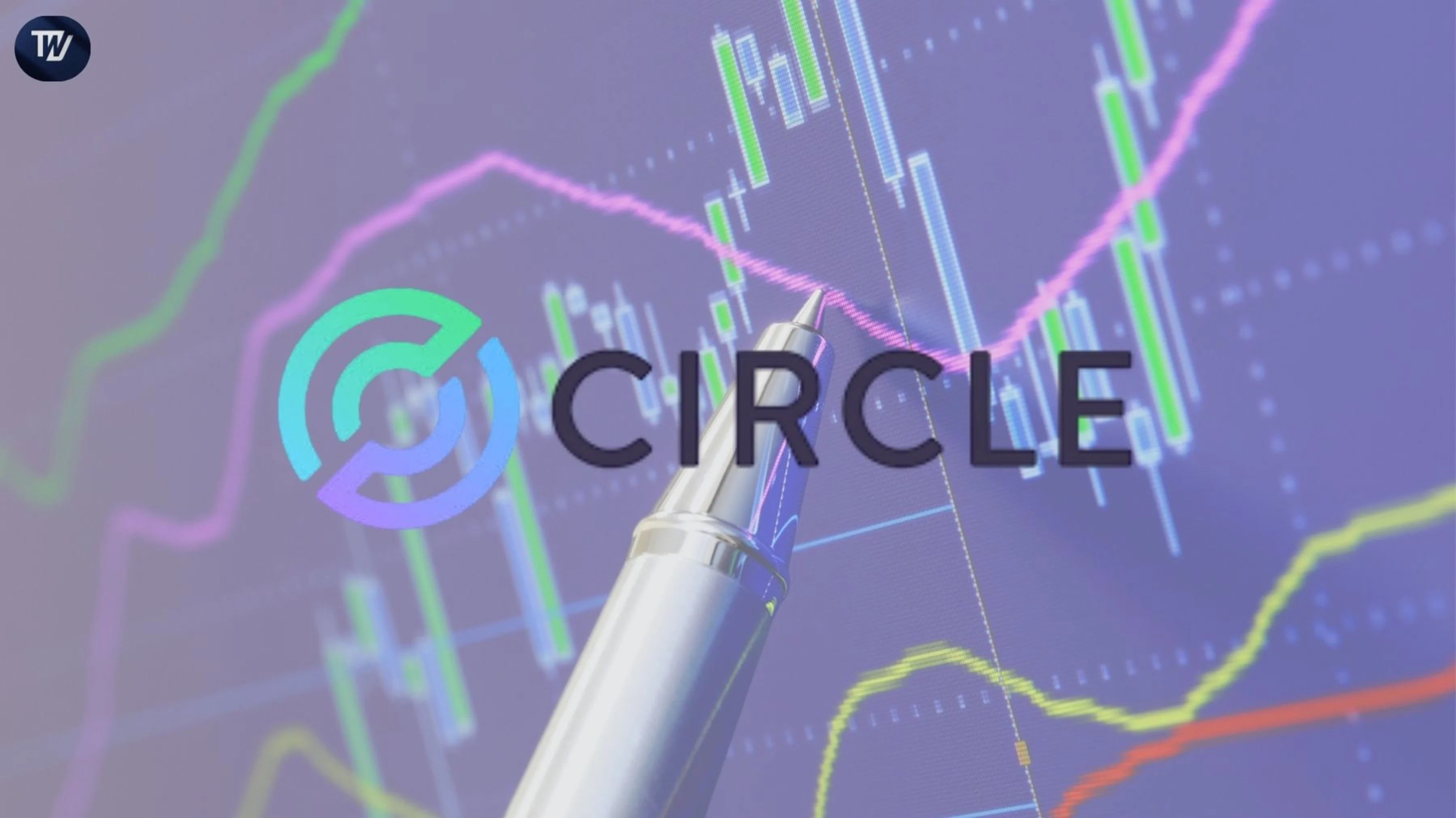 Circle (CRCL) Stock Plunge: 71% Crash Shocks Crypto Faith