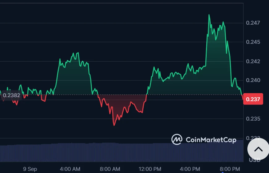 DogeCoin
