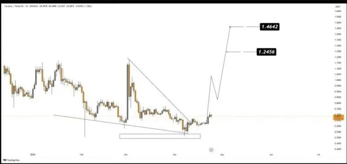 Cardano