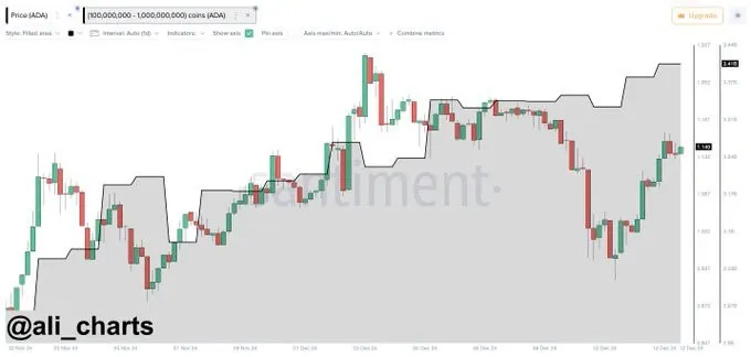 Cardano