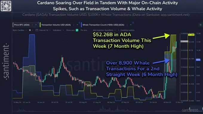 Cardano