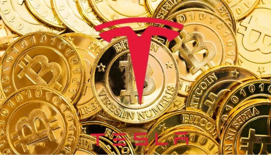 Tesla Transfers Entire $765M Bitcoin Stash to Unknown Wallets