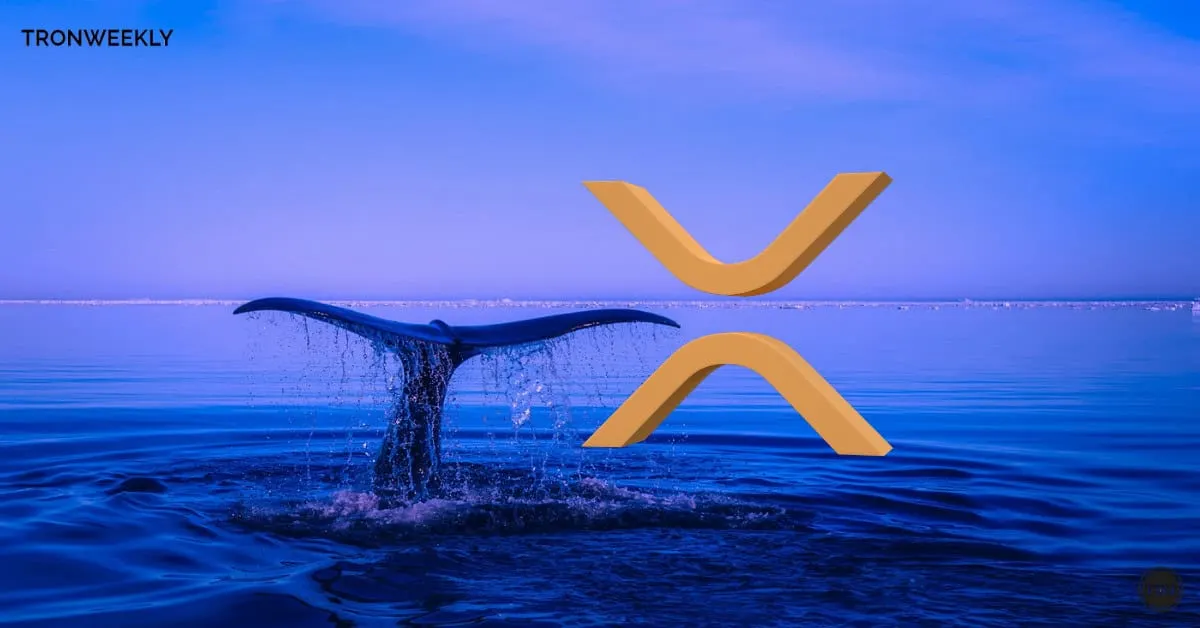 XRP Ready For A 24-Hour 50% Jump, Expert Says