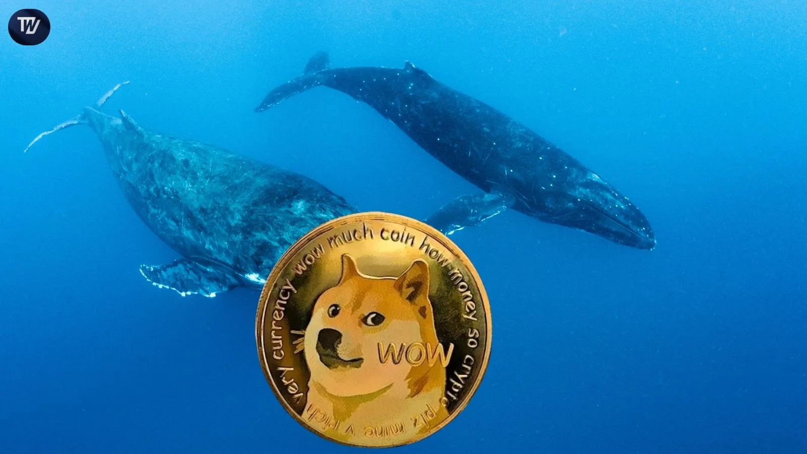 Dogecoin Targets $0.75 As Whales Buy 480 Million DOGE And Key Signals Flash  Green