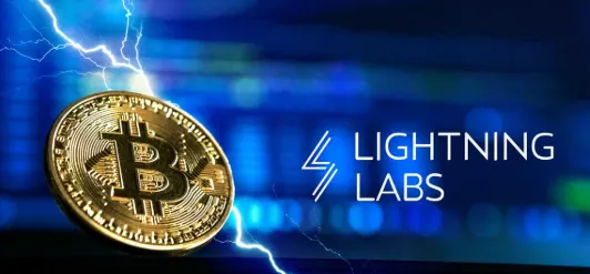 Lightning Network