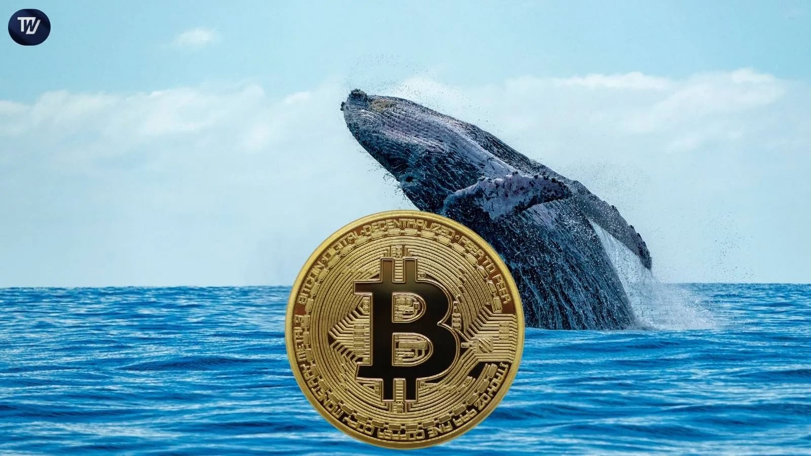 Bitcoin Whales Holdings Hit 9-Month Low As BTC Slides