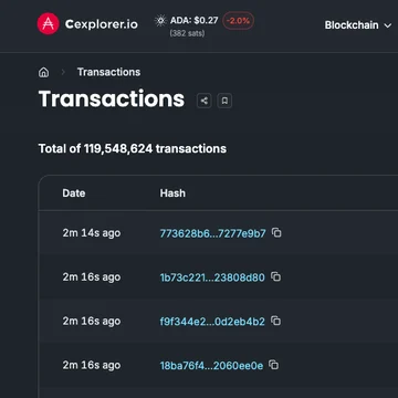 Cardano transactions