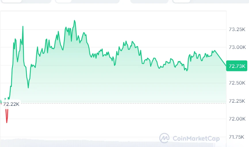 Bitcoin price chart