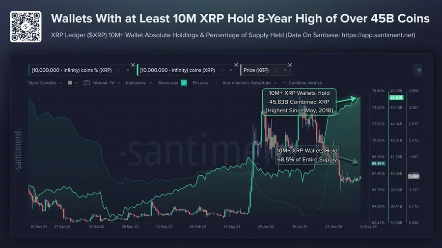 XRP whale holdings reach a multi-year high